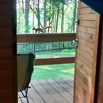 Dom Letni * Stare Jabłonki